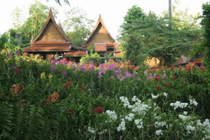 Thai garden